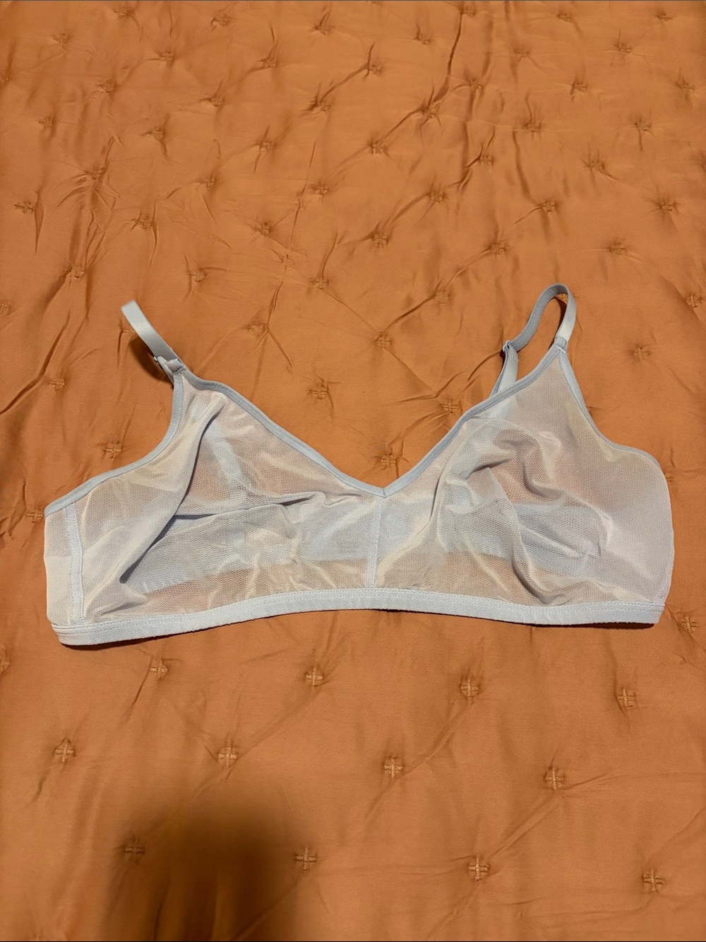 Negative Underwear Sheer Mesh Bralette in Pale Blue